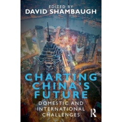 Charting China's Future: Domestic and International Challenges