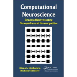 Computational Neuroscience: Simulated Demyelinating Neuropathies and Neuronopathies