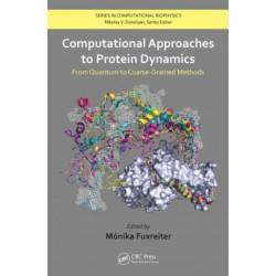 Computational Approaches to Protein Dynamics: From Quantum to Coarse-Grained Methods