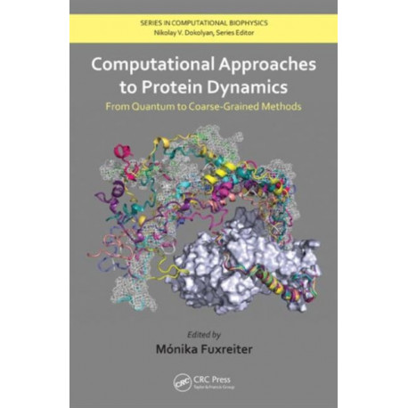 Computational Approaches to Protein Dynamics: From Quantum to Coarse-Grained Methods