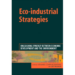Eco-industrial Strategies: Unleashing Synergy between Economic Development and the Environment