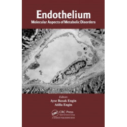 Endothelium: Molecular Aspects of Metabolic Disorders