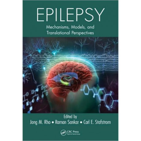 Epilepsy: Mechanisms, Models, and Translational Perspectives