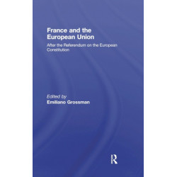 France and the European Union: After the Referendum on the European Constitution