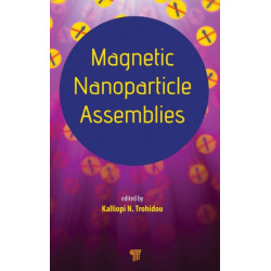 Magnetic Nanoparticle Assemblies