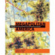 Megapolitan America: A New Vision for Understanding America's Metropolitan Geography