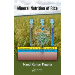 Mineral Nutrition of Rice