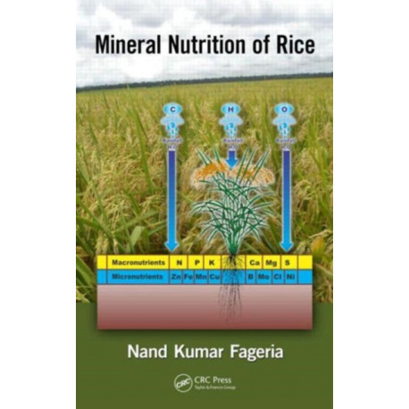Mineral Nutrition of Rice