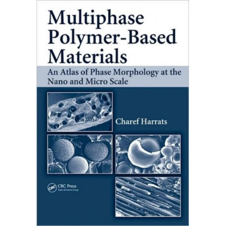 Multiphase Polymer- Based Materials: An Atlas of Phase Morphology at the Nano and Micro Scale