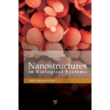 Nanostructures in Biological Systems: Theory and Applications