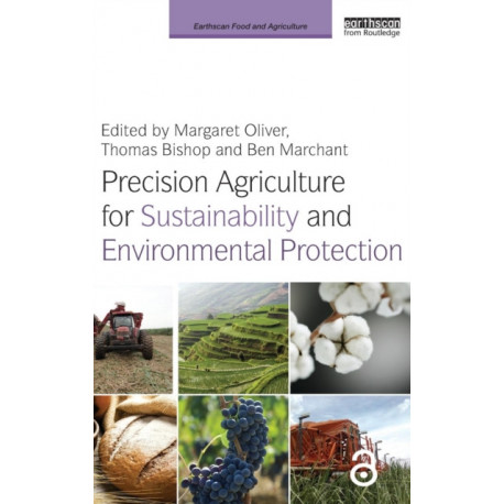 Precision Agriculture for Sustainability and Environmental Protection