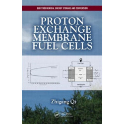Proton Exchange Membrane Fuel Cells