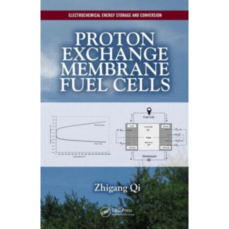Proton Exchange Membrane Fuel Cells