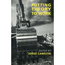 Putting Theory to Work: How are Theories Actually Used in Practice?