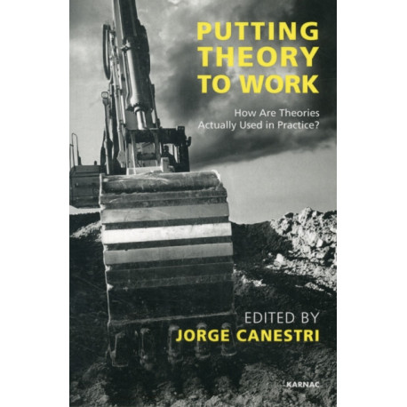 Putting Theory to Work: How are Theories Actually Used in Practice?