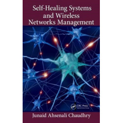 Self-Healing Systems and Wireless Networks Management