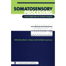 Somatosensory Processing: From Single Neuron to Brain Imaging