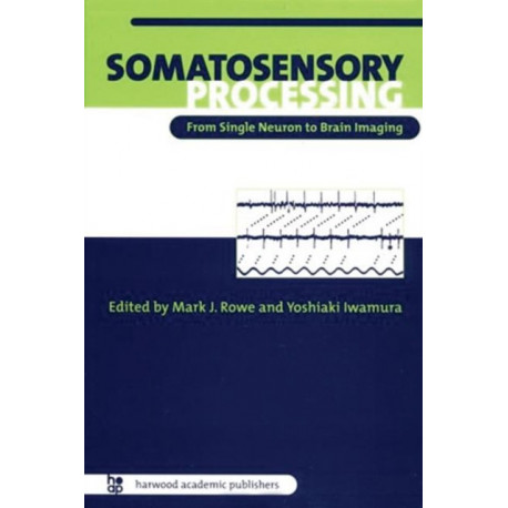 Somatosensory Processing: From Single Neuron to Brain Imaging