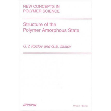 Structure of the Polymer Amorphous State