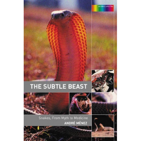 The Subtle Beast: Snakes, From Myth to Medicine