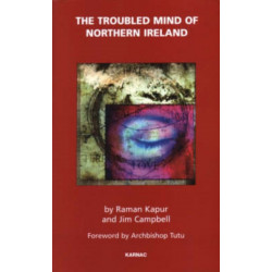 The Troubled Mind of Northern Ireland: An Analysis of the Emotional Effects of the Troubles