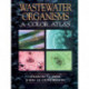 Wastewater Organisms A Color Atlas: A Color Atlas