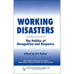 Working Disasters: The Politics of Recognition and Response