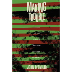 Making Trouble: Essays on Gay History, Politics, and the University