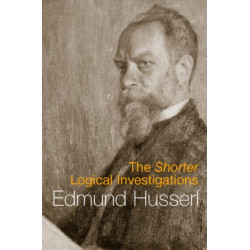 The Shorter Logical Investigations