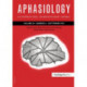 Brain Stimulation and Language