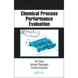 Chemical Process Performance Evaluation