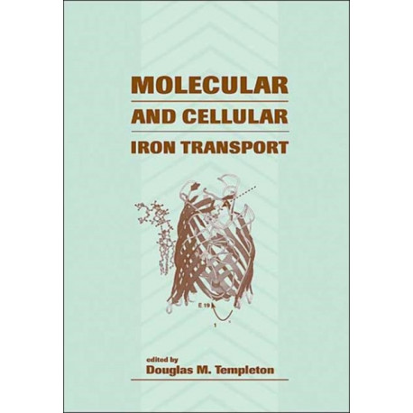 Molecular and Cellular Iron Transport