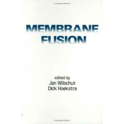 Membrane Fusion