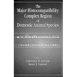 The Major Histocompatibility Complex Region of Domestic Animal Species