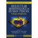 Molecular Morphology in Human Tissues: Techniques and Applications