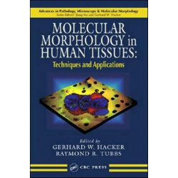 Molecular Morphology in Human Tissues: Techniques and Applications