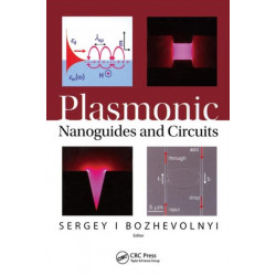 Plasmonic Nanoguides and Circuits