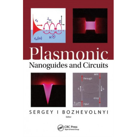 Plasmonic Nanoguides and Circuits
