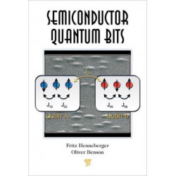 Semiconductor Quantum Bits