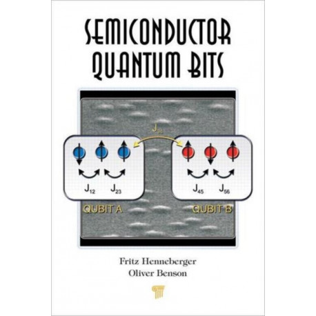 Semiconductor Quantum Bits