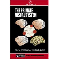 The Primate Visual System