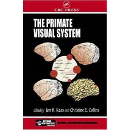 The Primate Visual System