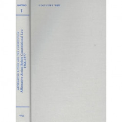 Affirmative Action Before Constitutional Law, 1964-1977