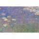 Monet's Water Lilies: The Agapanthus Triptych