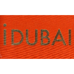 Joel Sternfeld: iDubai