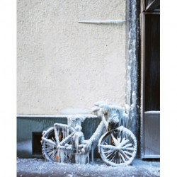 Olafur Eliasson: Inner City Out