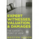 Expert Witnesses, Valuation, and Damages: The Expert's Point of View