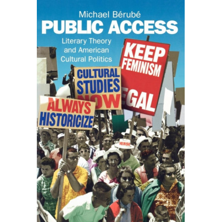 Public Access: Literary Theory and American Cultural Politics