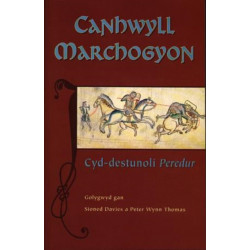 Canhwyll Marchogyon: Cyd-destunoli Peredur