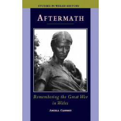 Aftermath: Remembering the Great War in Wales